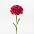 Soap Flower - Carnation BouquetReady to Retail Soap FlowersHeart Notes