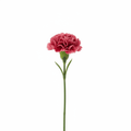 Soap Flower - Small CarnationReady to Retail Soap FlowersHeart Notes